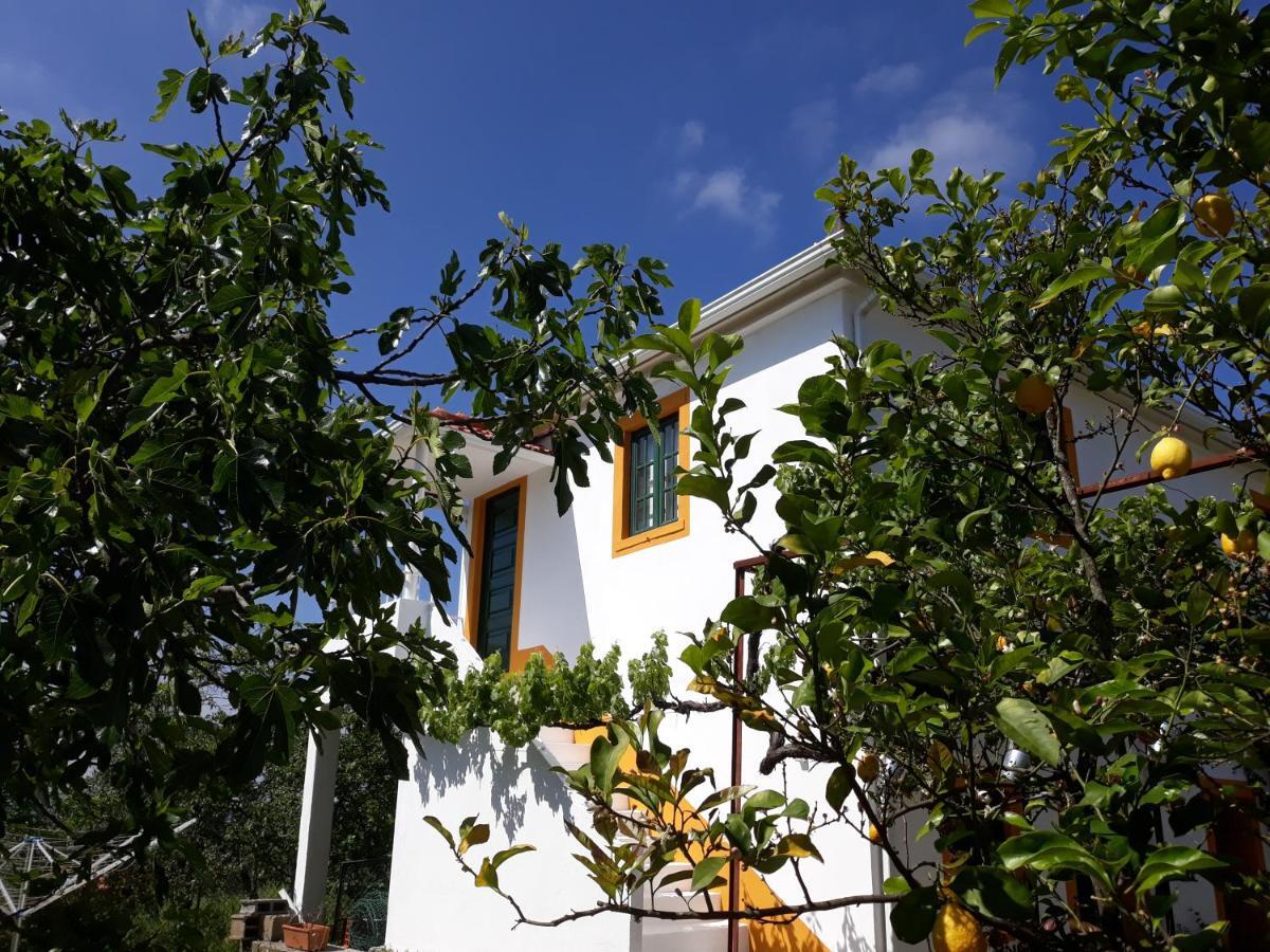 O Ninho Do Rei Apartment Vila de Rei Exterior photo